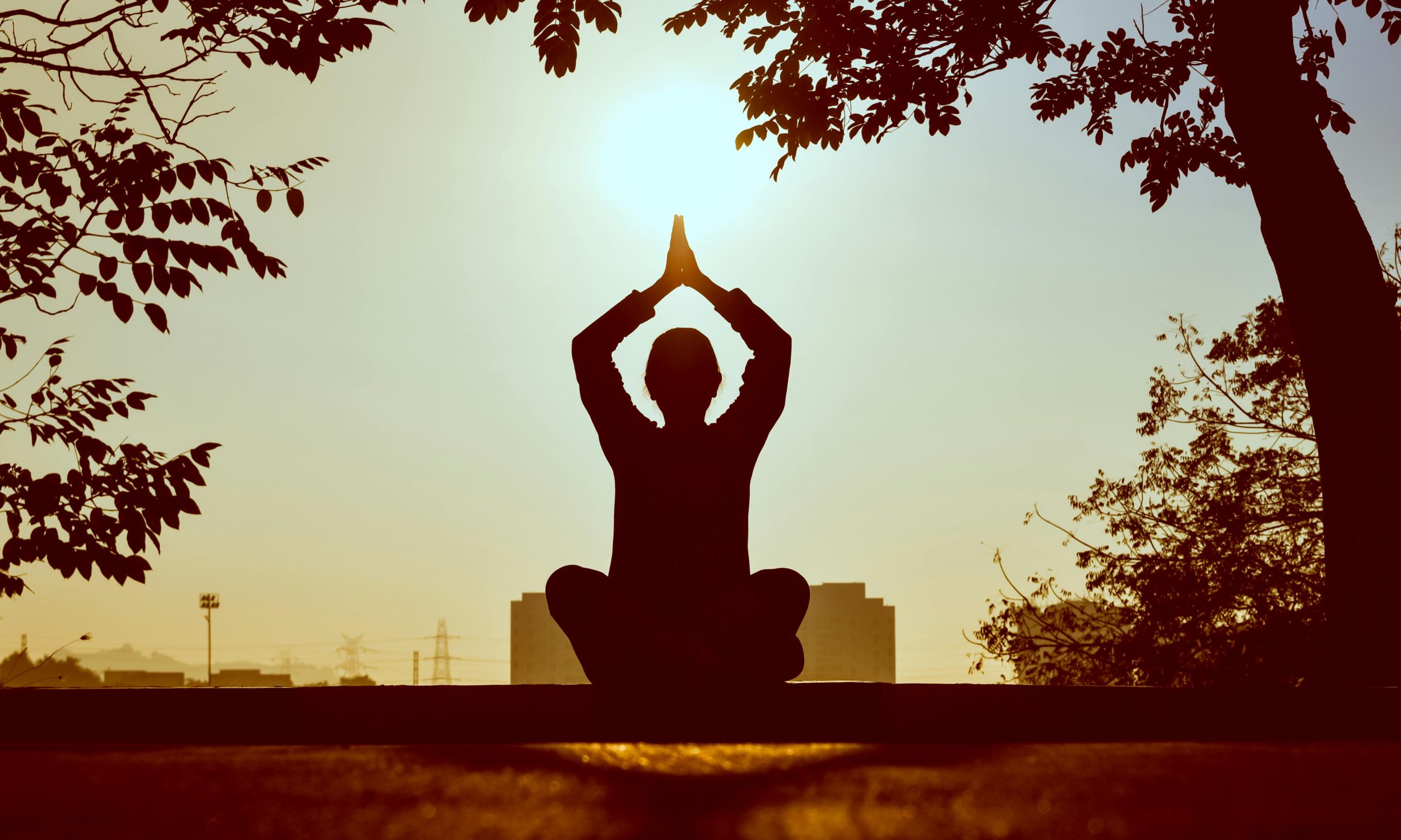 Read more about the article Yoga for Better Circulation: Poses & Practices for Healthy Blood Flow 
